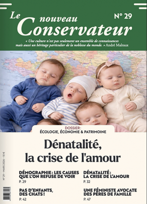 Nouveau conservateur n°29