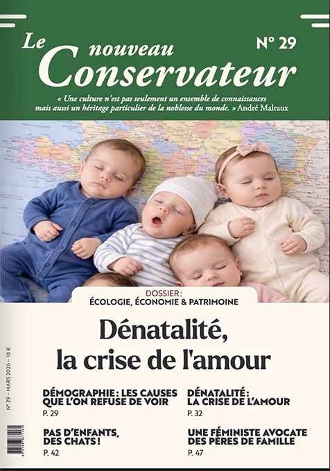 Nouveau conservateur n°29