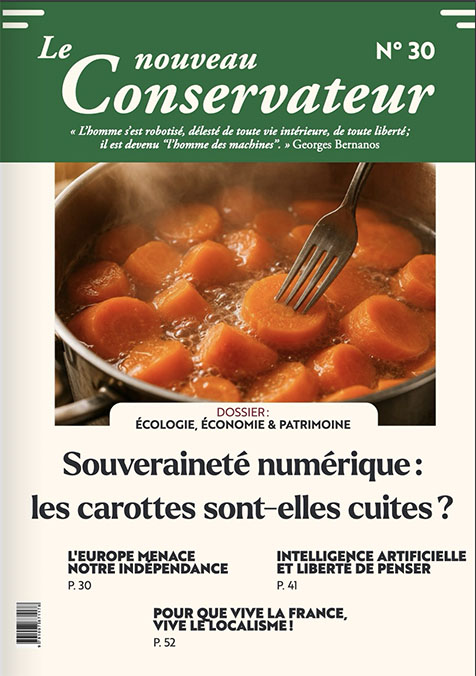 Nouveau conservateur n°30